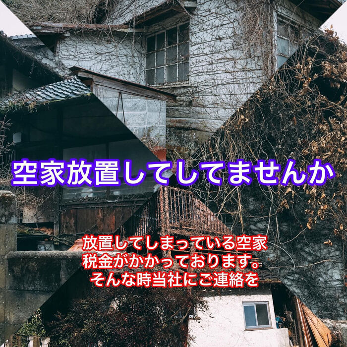 画像1346